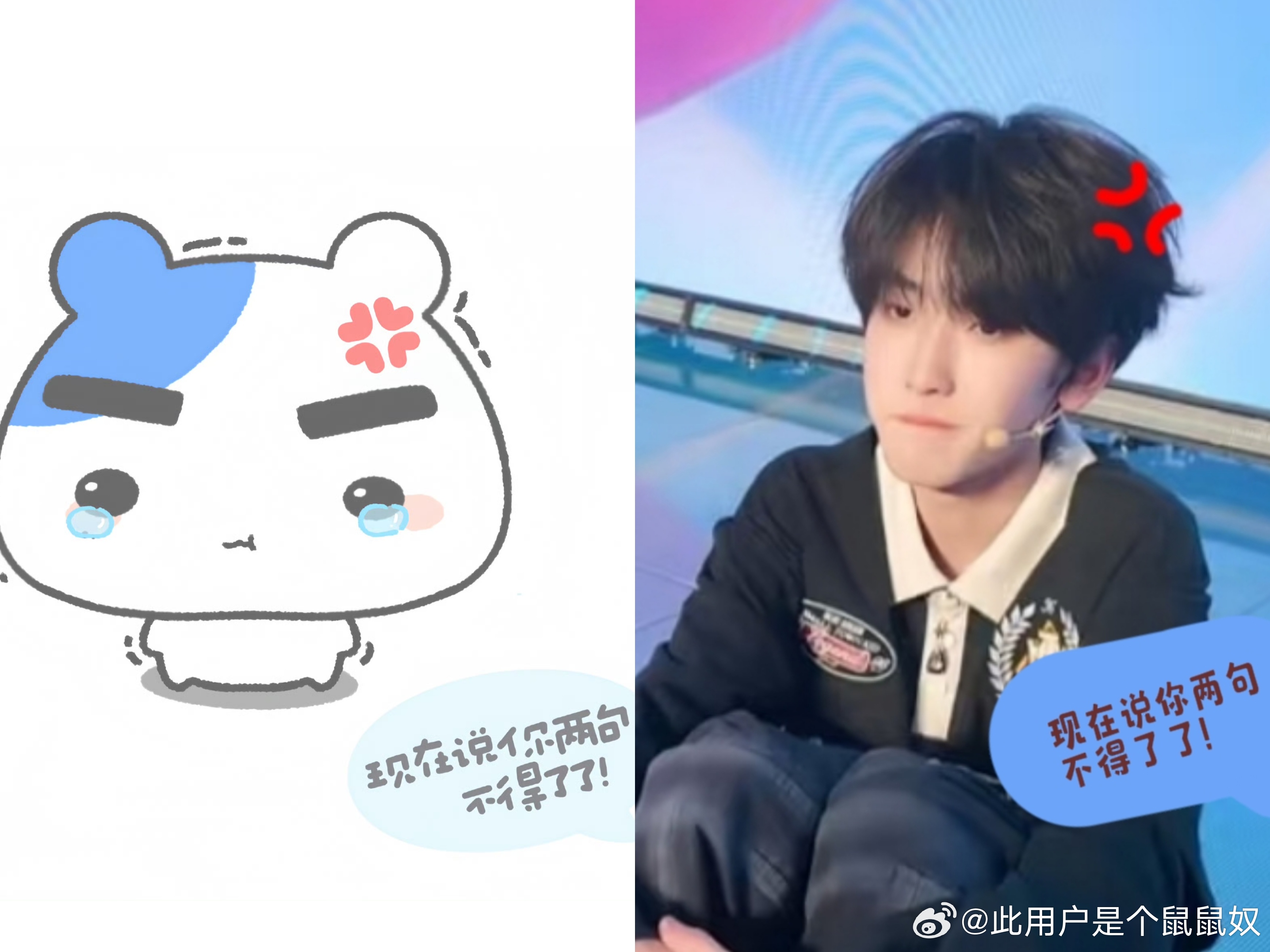 左奇函[超话] 鼠。猪豆错了。不要再骂鼠鼠了 ​​​