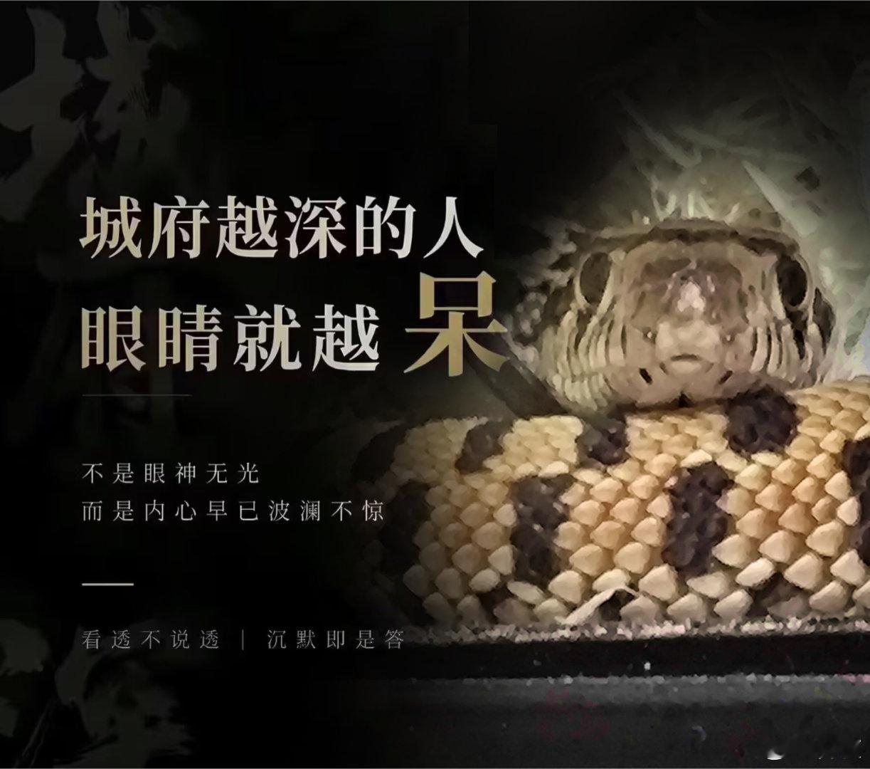 嗯嗯对的对的 
