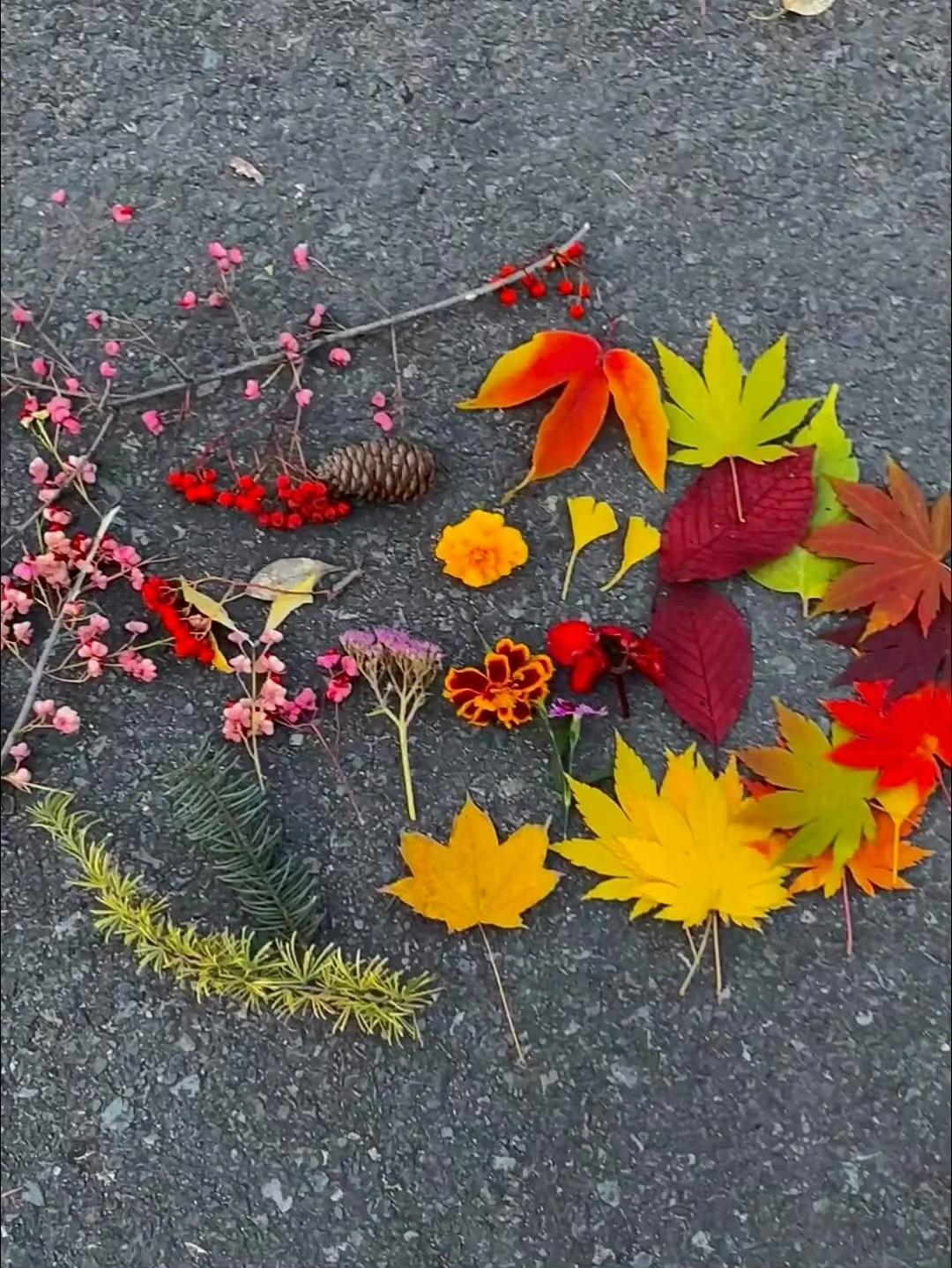 原来秋天在我们手中🍂