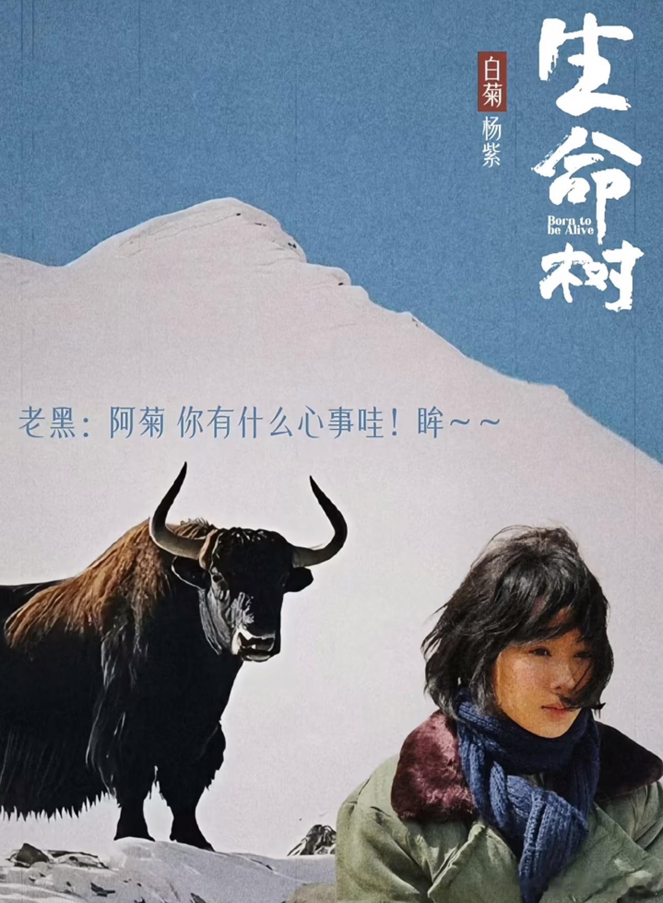 这都是杨紫粉丝做的，果然90扛剧🌸第一人是有道理的