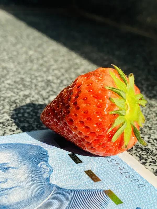 360元1斤！牛奶灌溉的天价草莓火了，真相太扎心
 
你敢信吗？一斤草莓竟然卖到