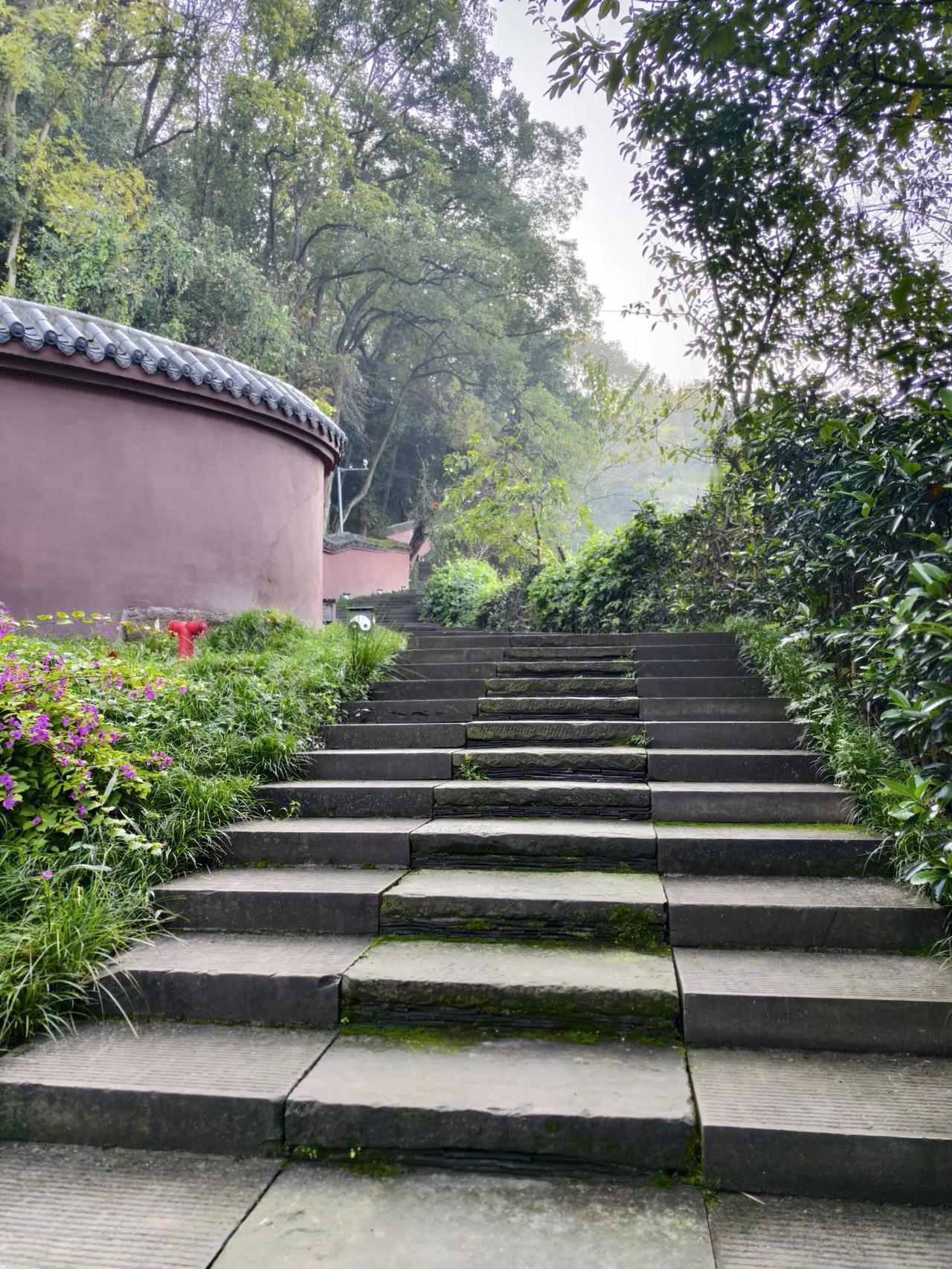 南山果园
        ——南木子
南山果园周末逛，
成熟柑橘挂树上。
老板热