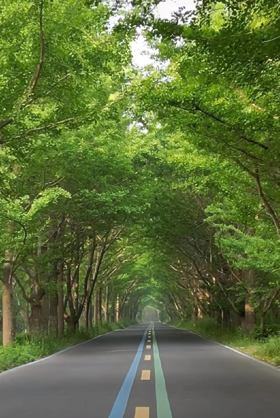 不用谦虚，能一口气拿下5公里，已经是同龄人中天花板级别的存在了。
很多不跑步的朋