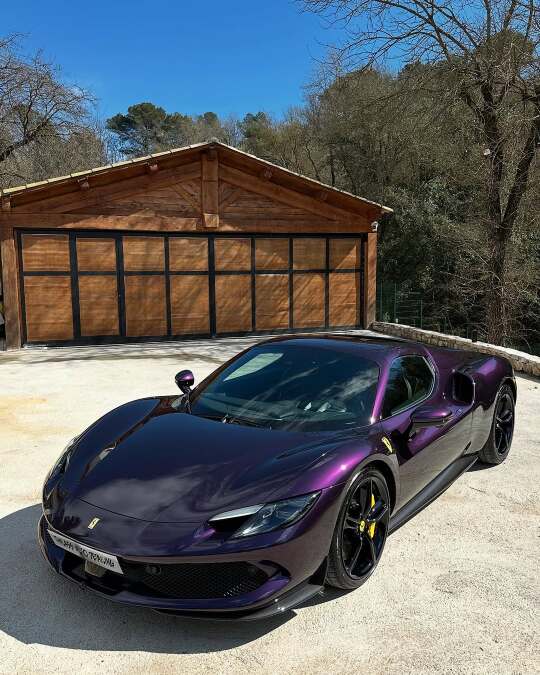 紫气东来｜Viola Hong Kong296GTS💜