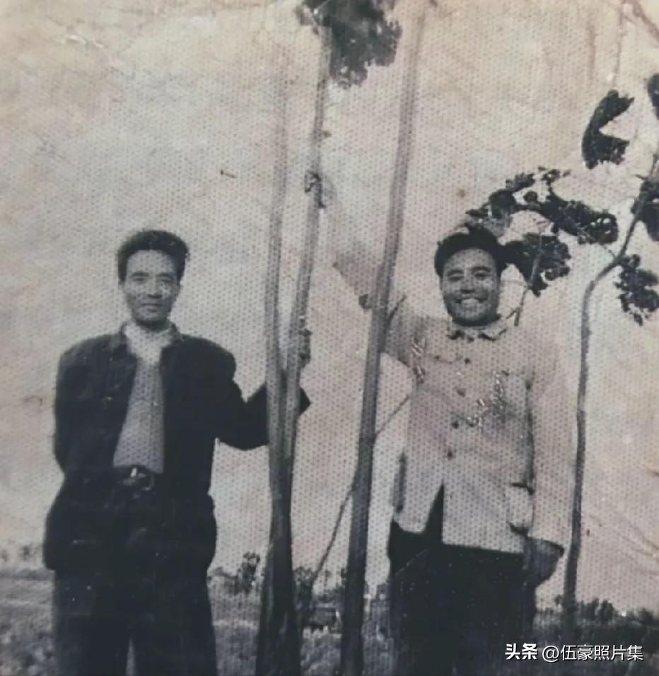 上世纪六年代，时任兰考县县委书记焦裕禄下乡时和兰考县城关公社党委书记孟庆凯手扶泡