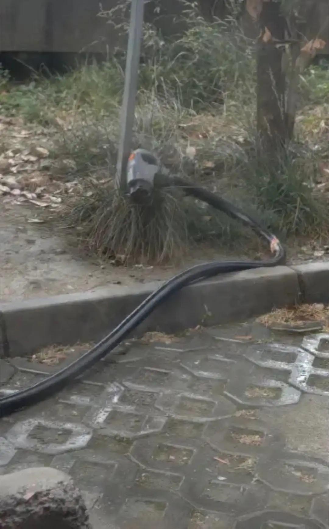 广东，充电桩主人好心让男子充电，结果男子充完电后直接就把充电枪随意往地上一扔，然