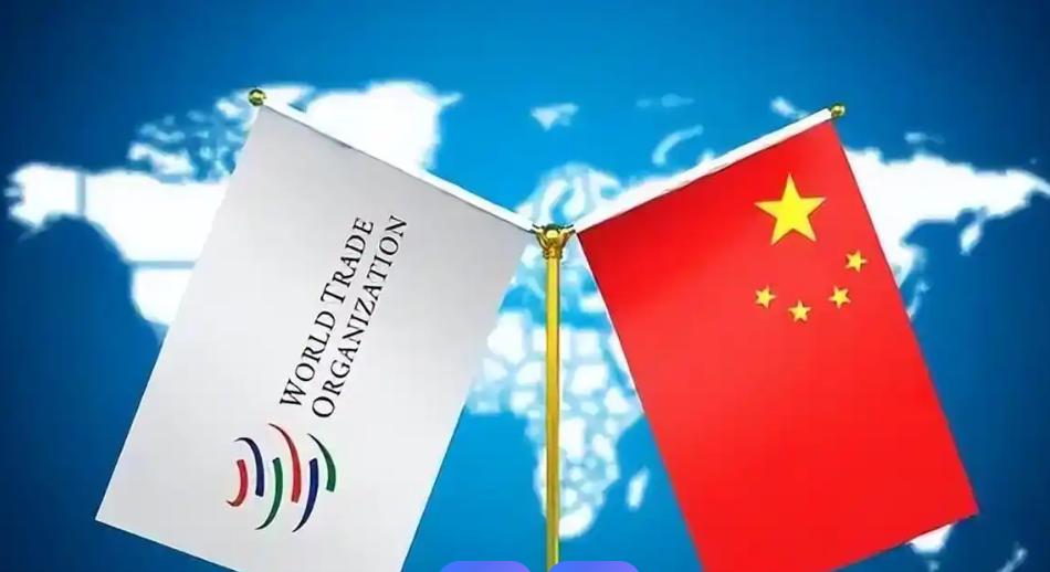 要说美国近三十年最后悔的一件事，不是什么打仗打输了，也不是金融危机，而是当年亲手