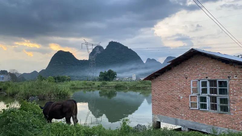 天下之大，无奇不有，生活中总能碰到些奇事儿。就说我吧，吃过午饭和老公正打算睡午觉