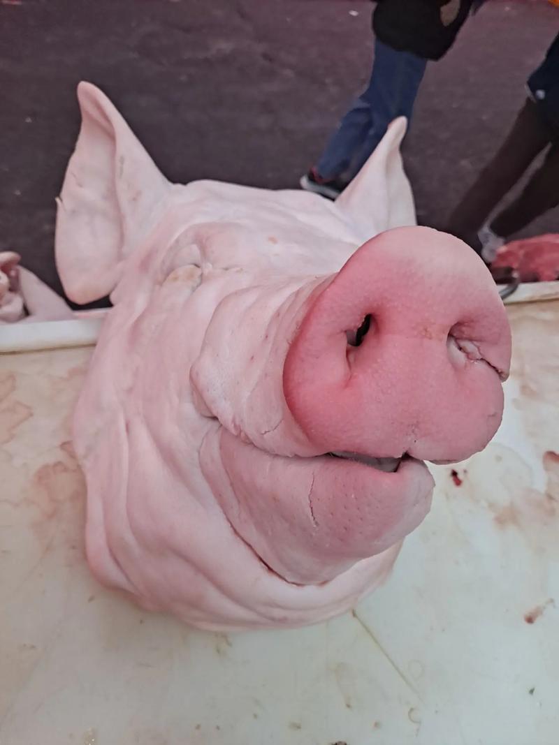 但是希望龙王爷按人们的期盼和要求、适时普降甘霜，滋润万物尤其是农作物良好生长，给