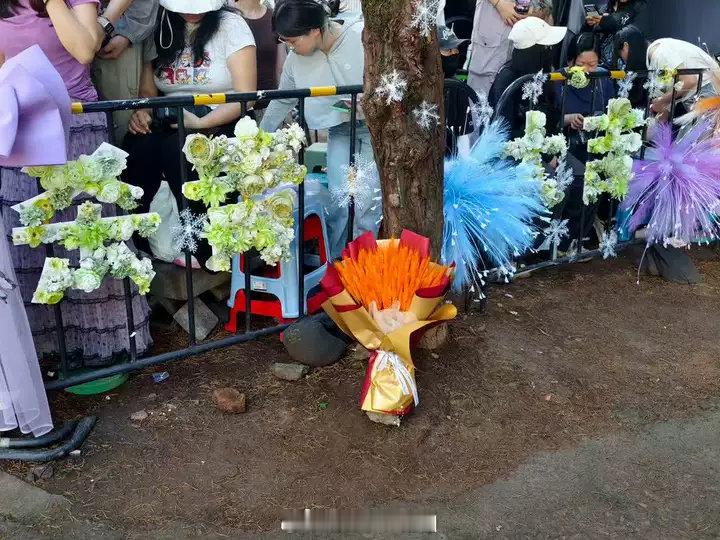 丁禹兮粉丝连夜布置杀青应援丁禹兮粉丝的爱好拿得出手！连夜给丁禹兮司宫令布置杀青应