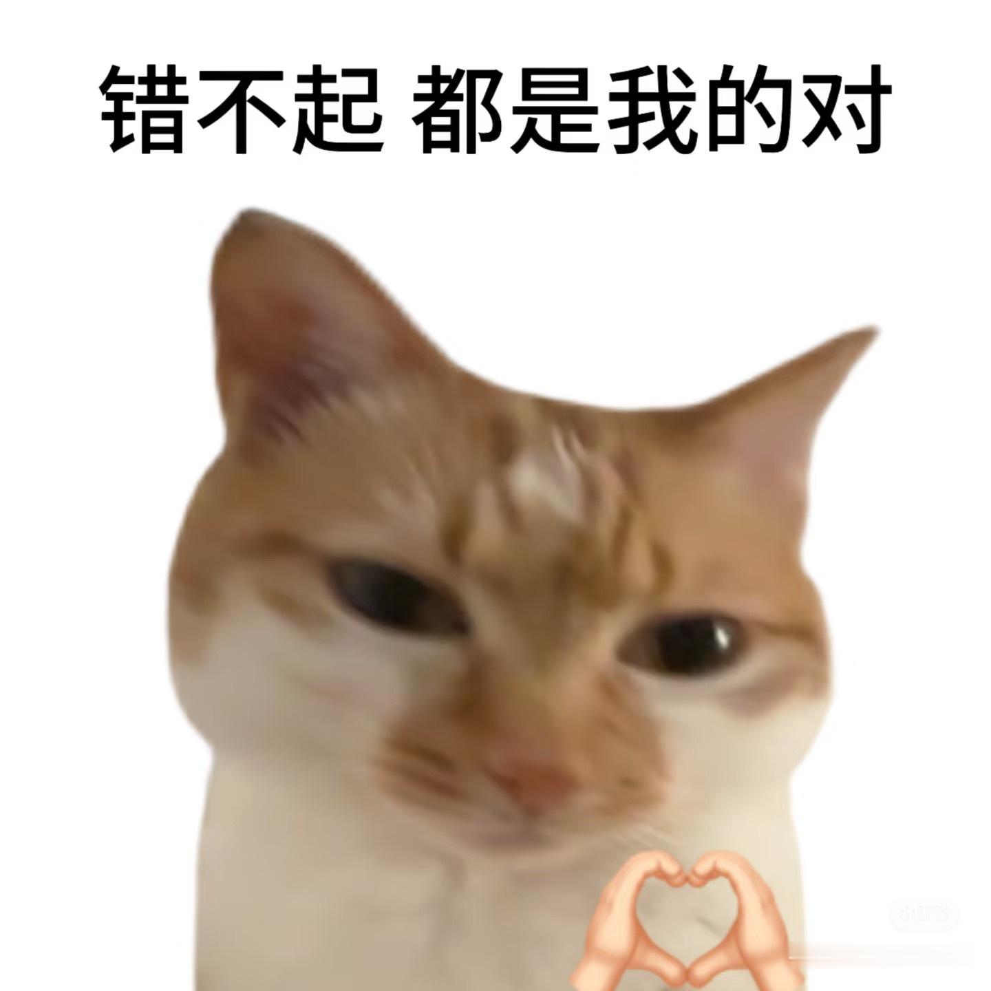 上岸了！给大家分享这个好消息！又可以去读书了！虽然是第一名调剂到这个学校的有点遗