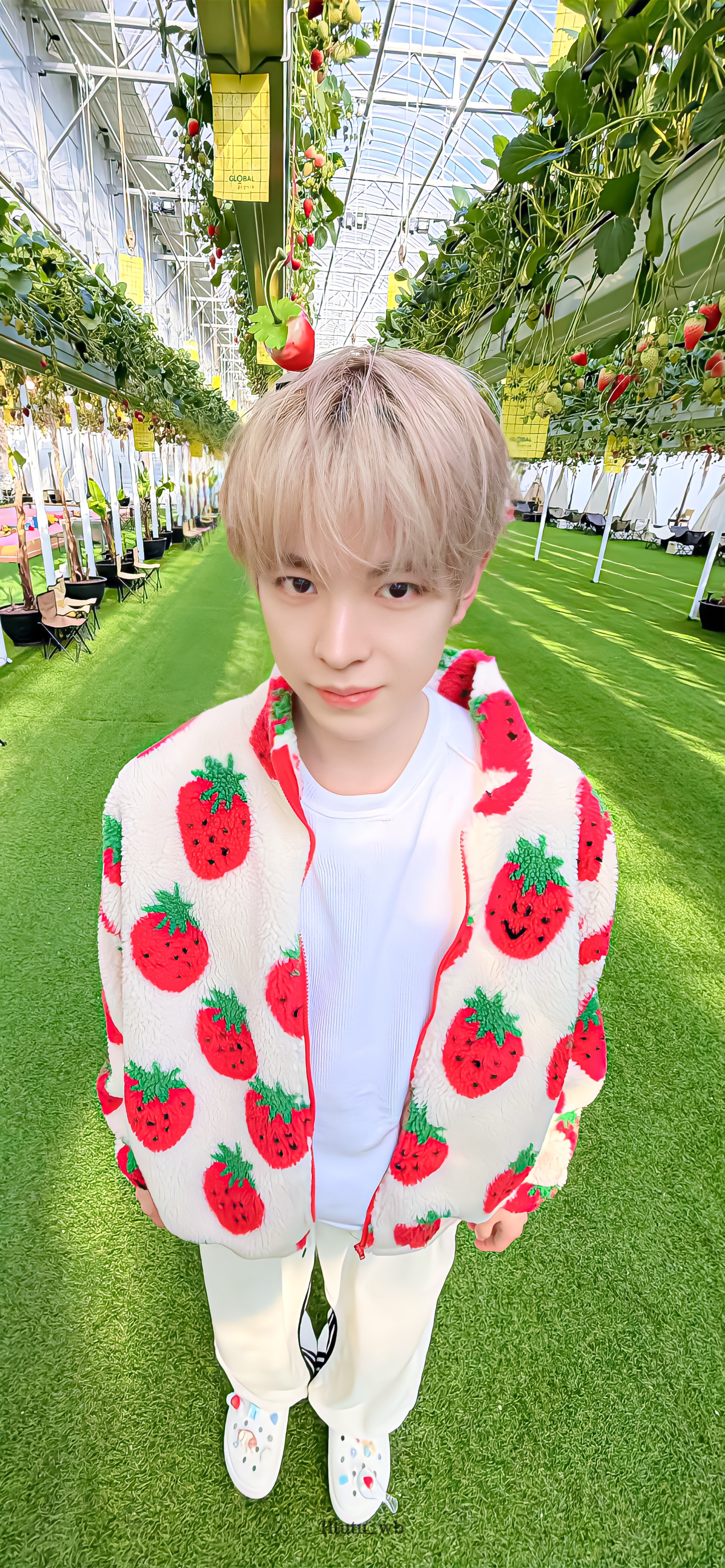 Yushi得能勇志壁纸来啦～🐱🍰🌟 