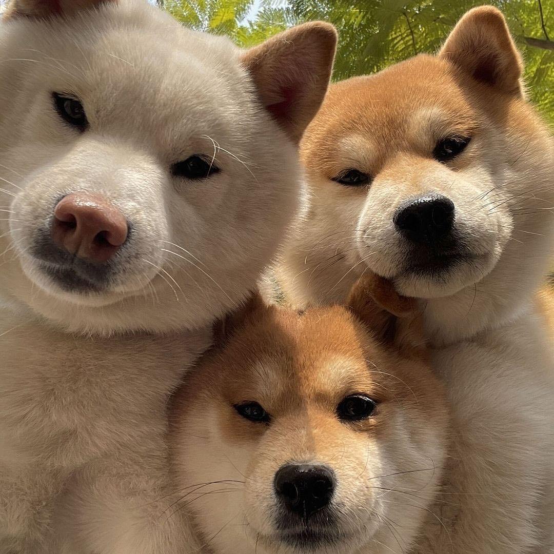 毕业了，和室友们再拍一张 ​​​
