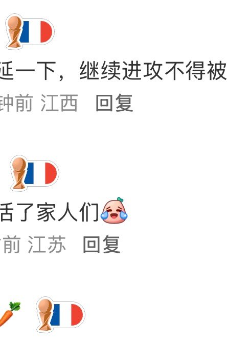 法国队的标识已经升级了，莺歌蓝我好羡慕啊，今晚赢的风险大吗 
