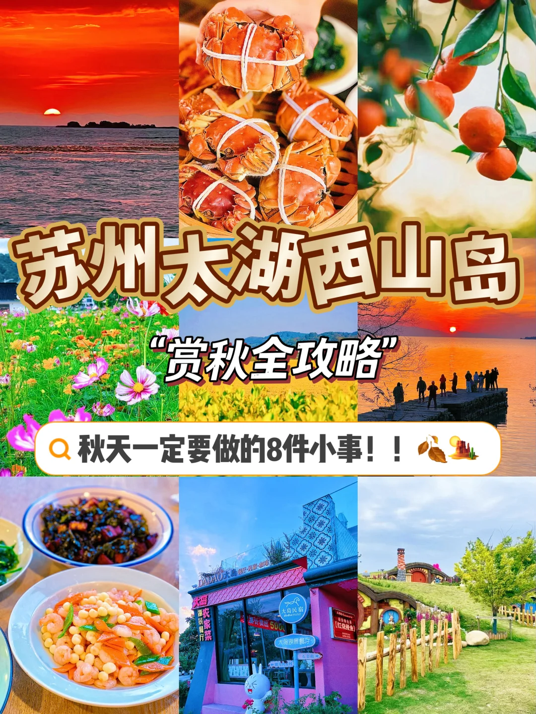 上海周边游 | 🍁太湖秋天一定要做的8件小事