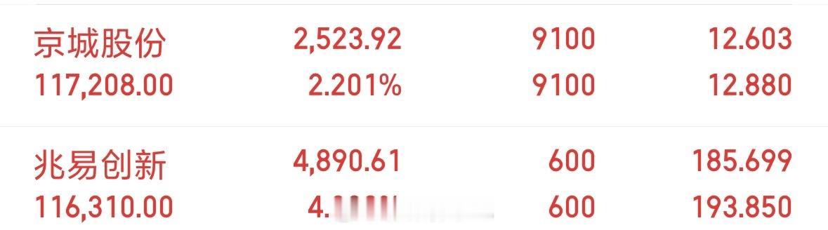今天运气很好，账户依旧保持红盘，本来想减仓的，看到这个大跌行情，减不减都无所谓了