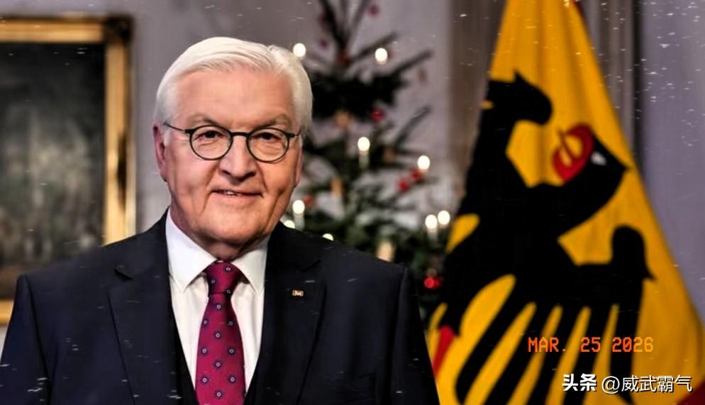 德国总统:美国和以色列打击伊朗犯了一个致命错误，很明显违反了国际法，如果目的就是