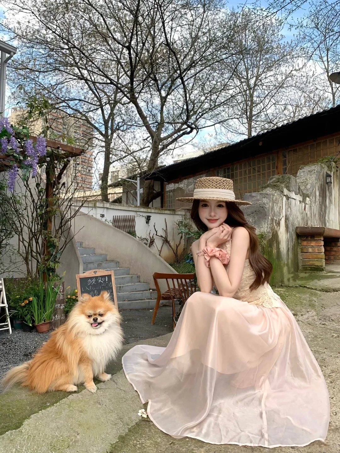 是春天 🐶🪻₊⊹