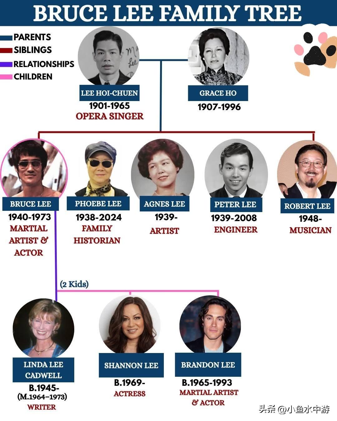 传奇延续：揭秘李小龙不凡的家族谱系