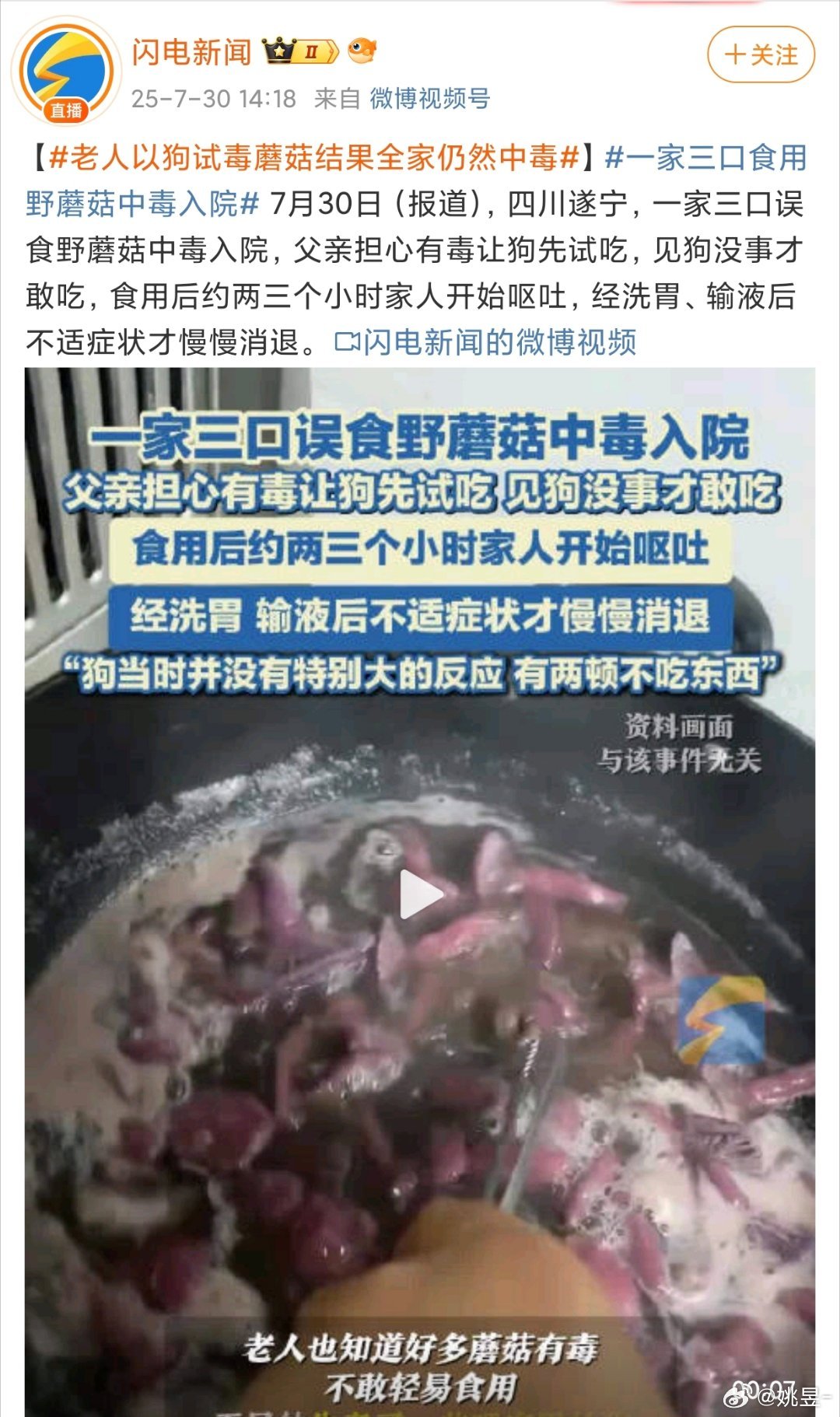 老人以狗试毒蘑菇结果全家仍然中毒🐶：我可能不是人，但你是真的狗这下好了，全家一