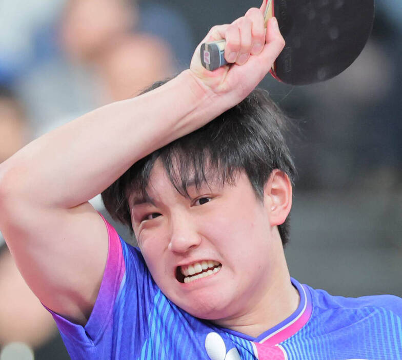 张本智和张本智和wtt新加坡大满贯2026 20260227【乒乓球】张本智和：