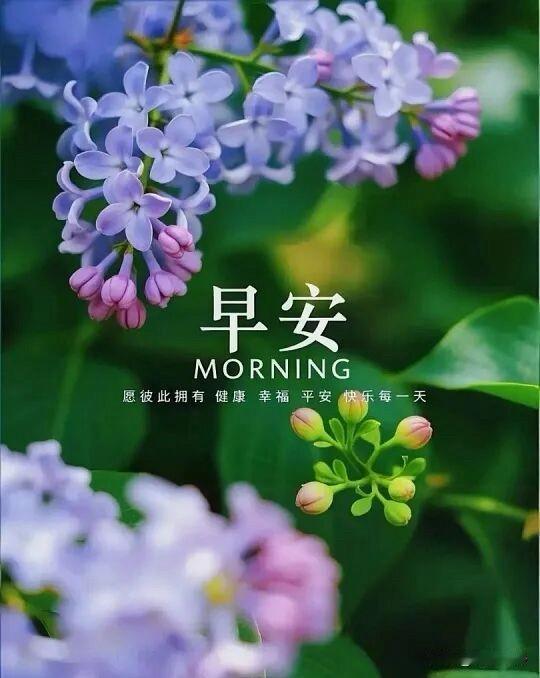 🌼²⁰²⁶/₀₇.₂₈ᵕ̈ᵕ̈周二｜清风相伴🍃☕️🍒🍑
晨风吹散伏天热浪