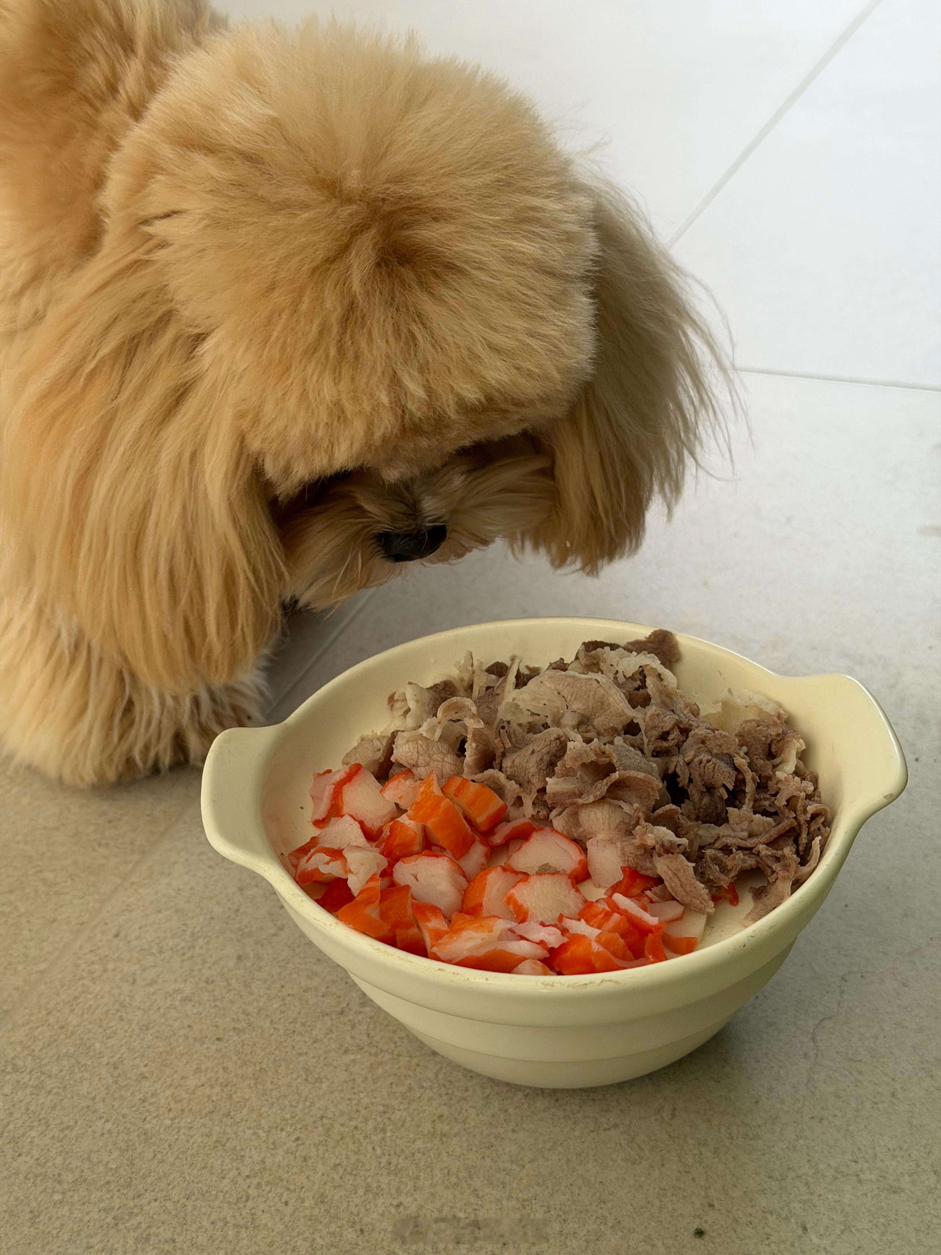 最近没怎么发小狗，是因为她来姨妈了……做家长的好心疼！整天怕她会不会肚子痛今天给