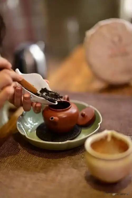 活得有趣  
是对生活的热爱 
 也对生命的珍重[微笑]