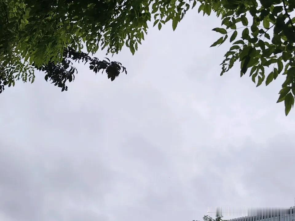 晒图笔记大赛武汉六月二十一日雨过后的天空。