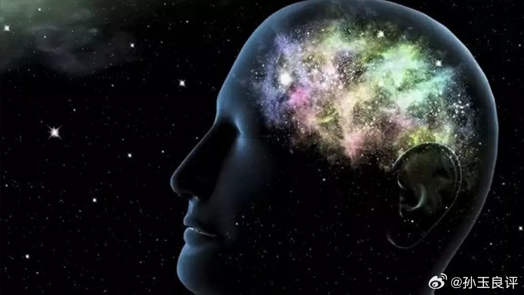 【字典和权威观点可不可以质疑？孙玉良：陷入本本主义者不是我的菜】一位叫“智慧春蚕