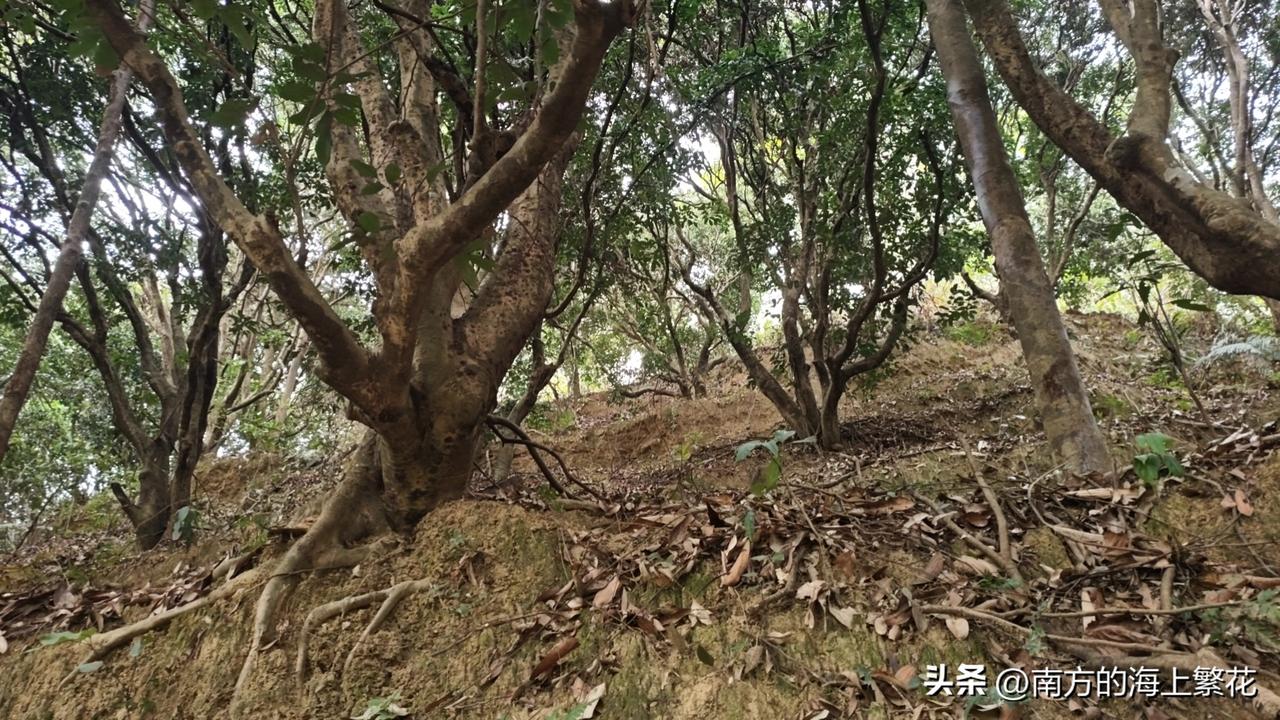 以前我还觉得他这个人可以。现在我发现原来我看错人了。
刚上班，同事小花就走过来，