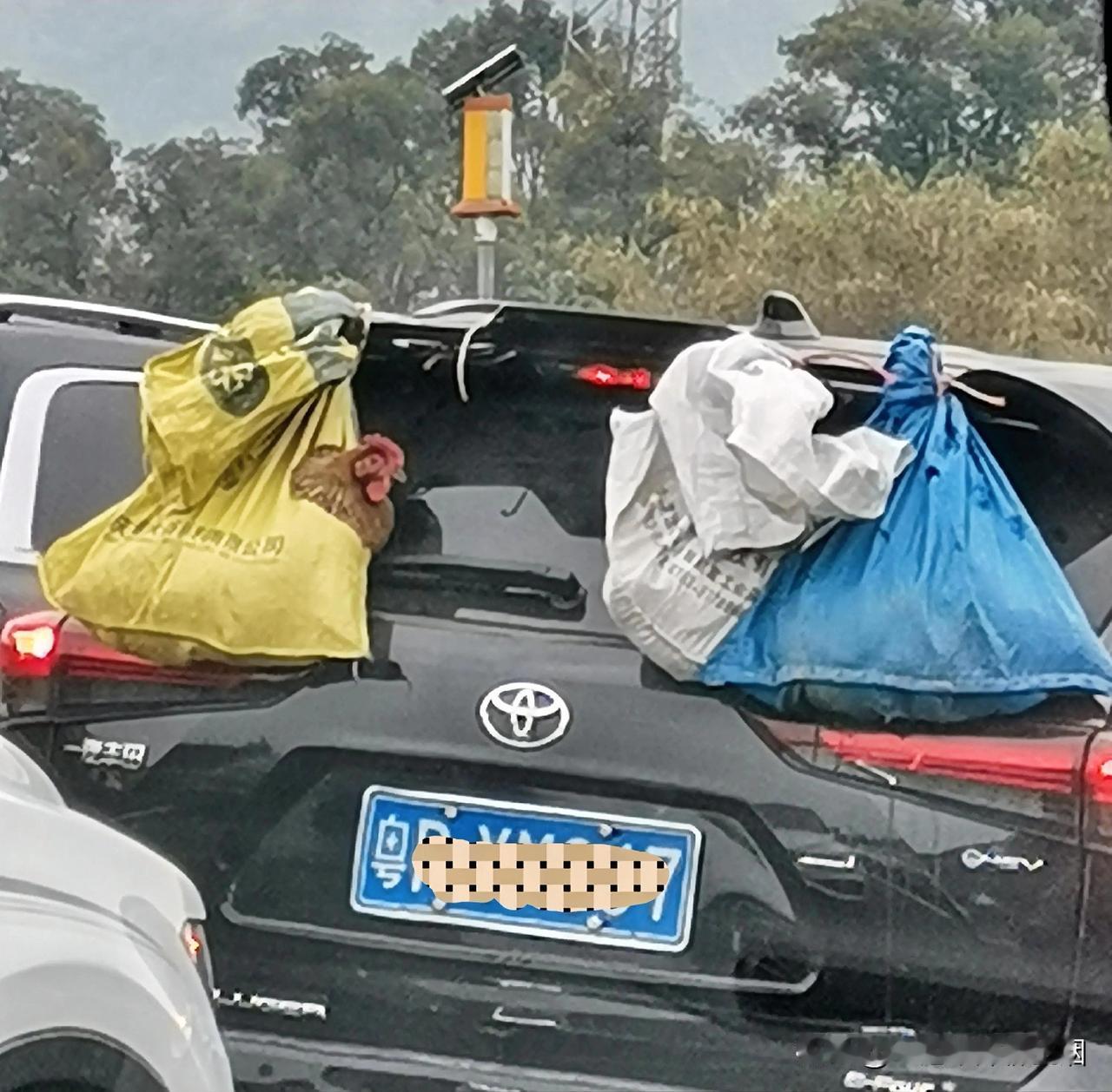 大年初五返程车多慢行，偶遇后备箱外挂满满的爱。

大年初五返程，从梅花北站上乐广