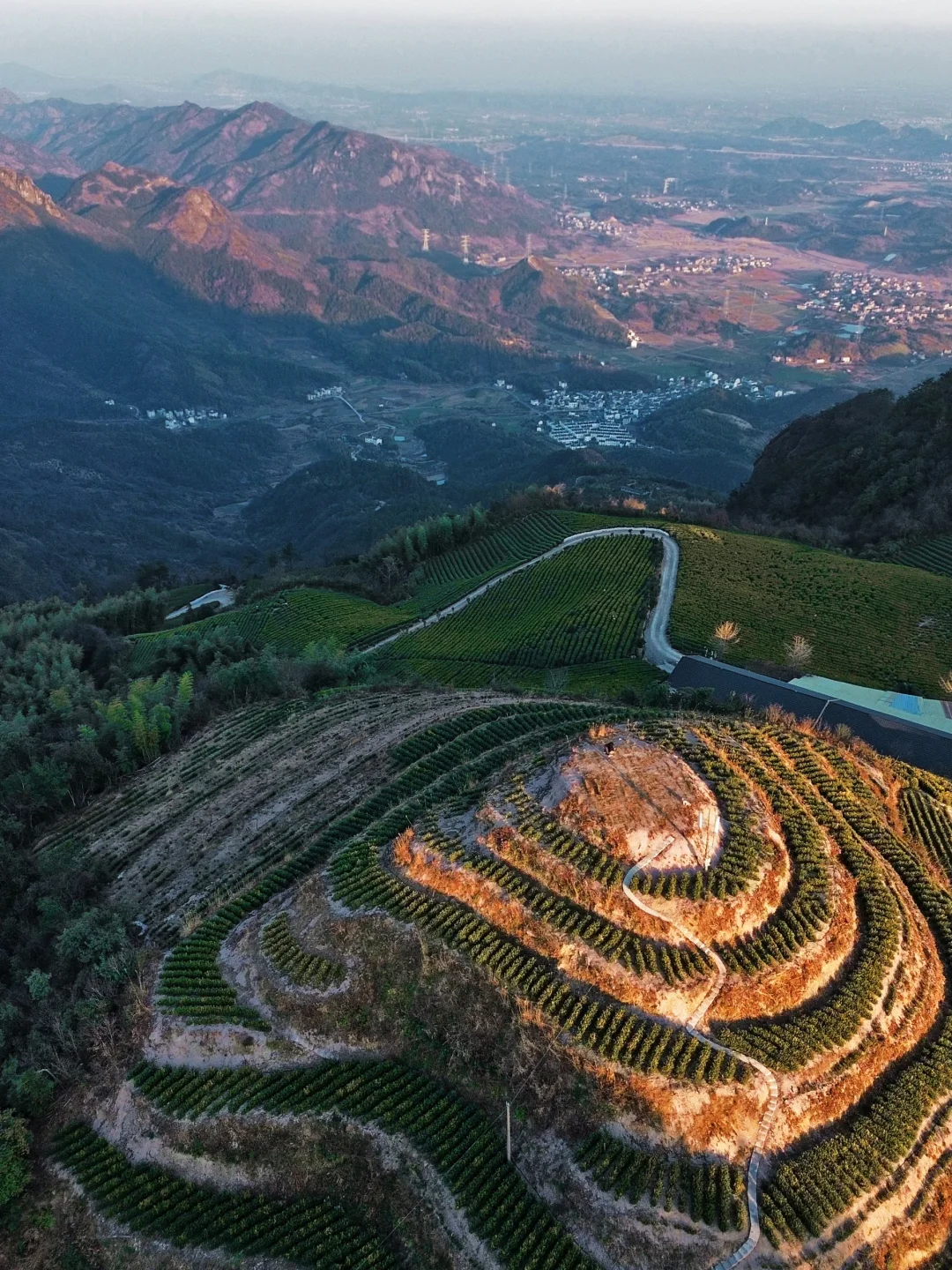 今年去过衢州最美的山顶露营地，很怕它火‼️