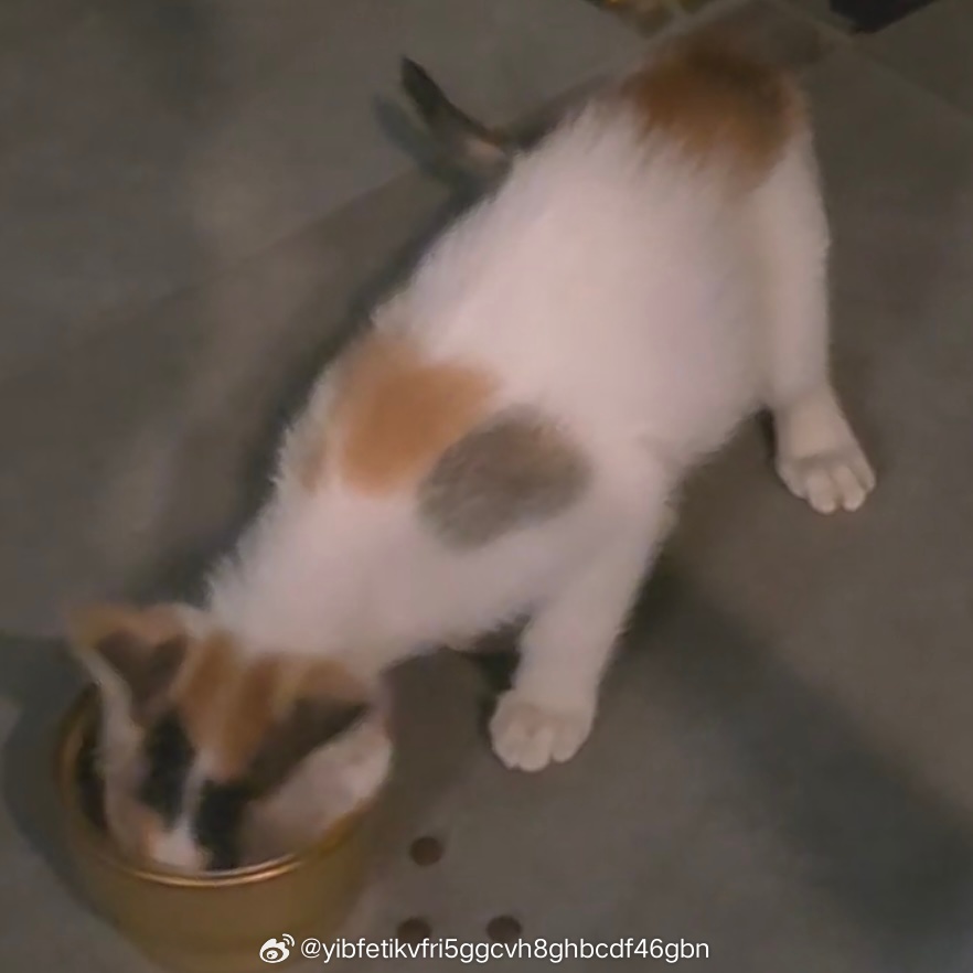 又吃榴莲