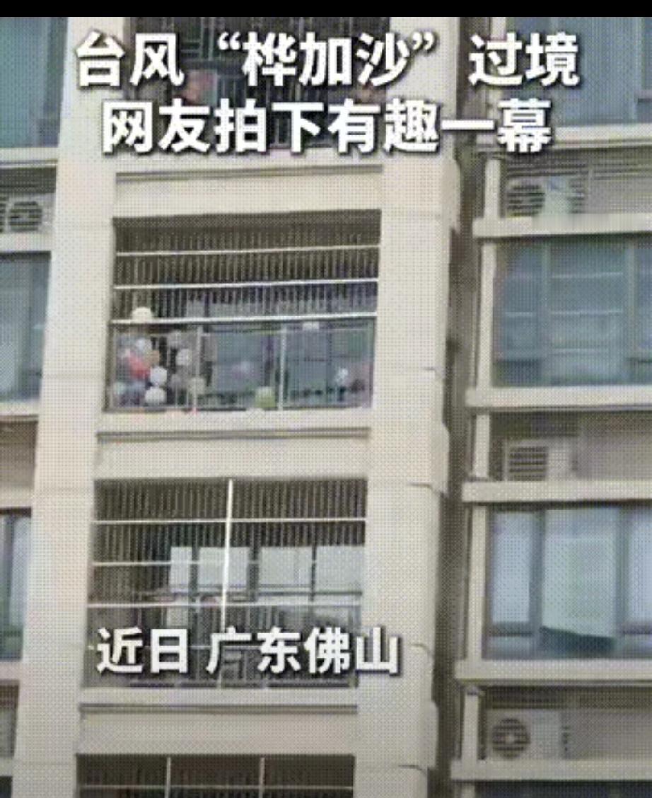 气球挡台风？这脑洞我直接跪了！

广东佛山这位大哥，应对台风“桦加沙”的操作简直