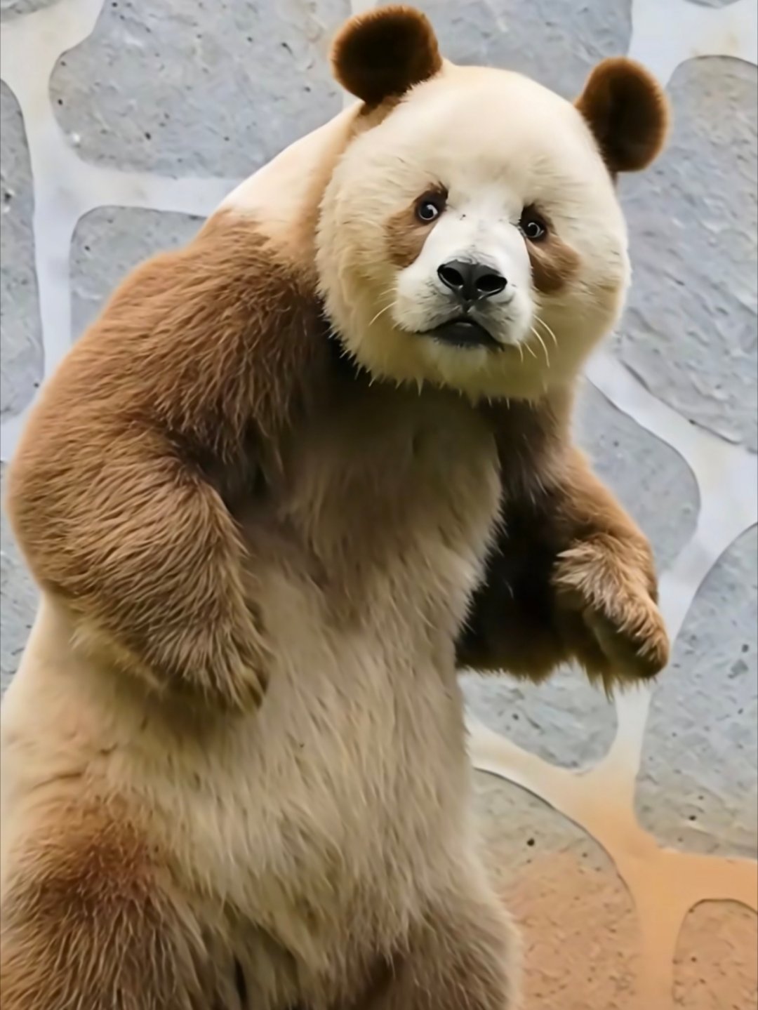 陈震一年赚那么多钱，本来是很多人羡慕的，但是还那么拼，图啥？ 