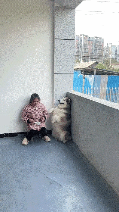 强迫总是打着为你好的名义，概莫能外。