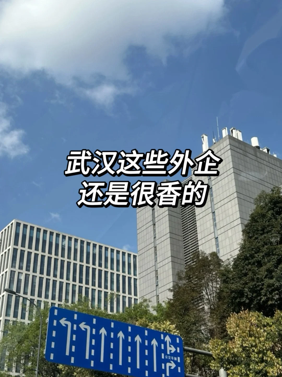 武汉这些外企还是很香的