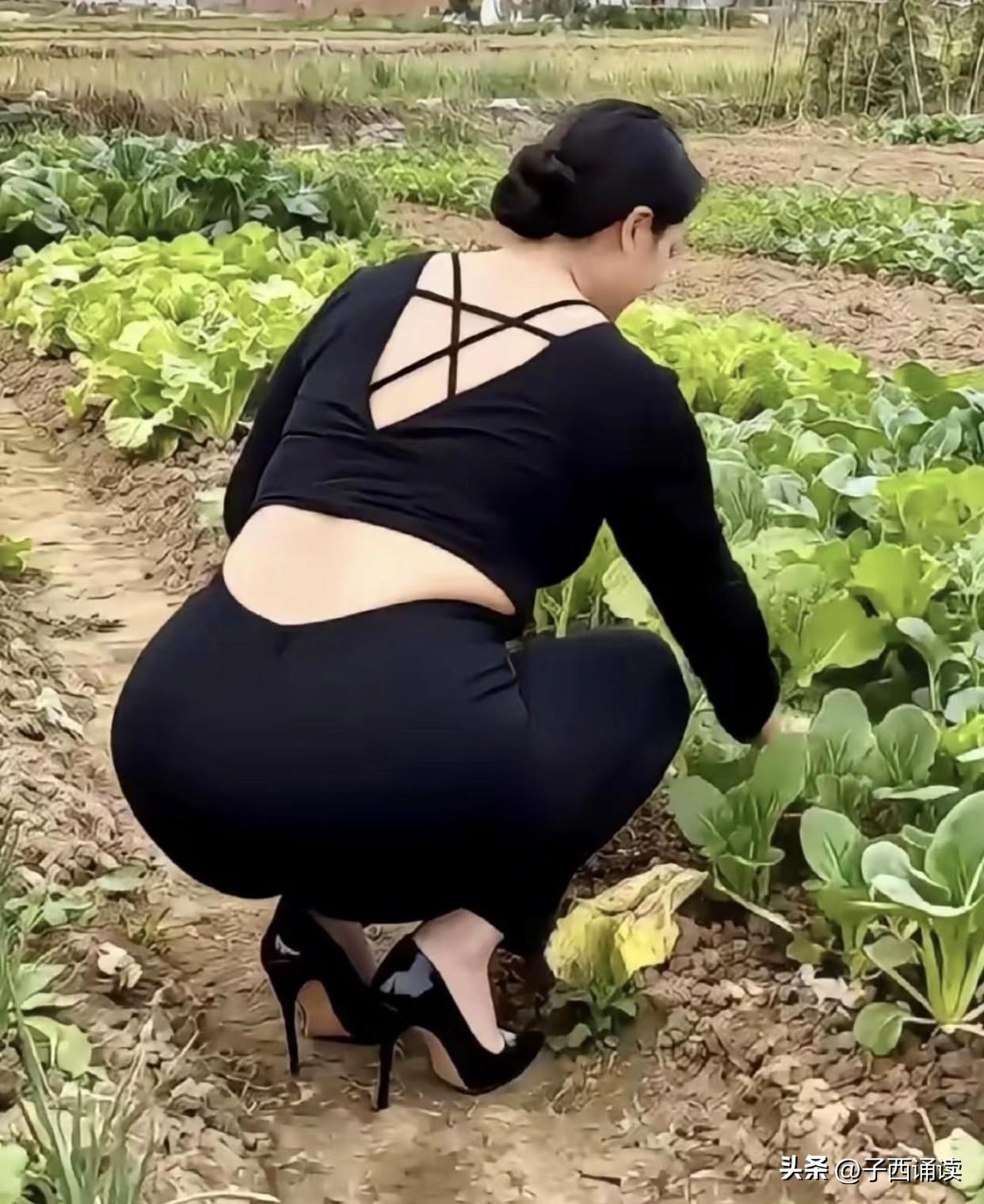 知道我老婆为什么留守农村还保养的这么好吗？因此她天天都吃有机蔬菜！