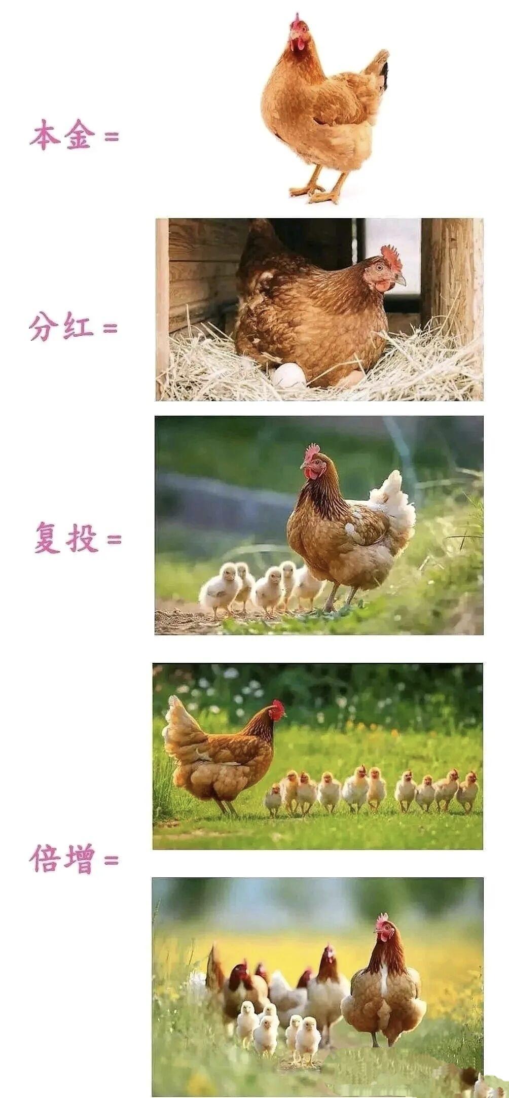 咱用图说话，普通投资者如何战胜量化，不被反复收割，能看明白且能长期坚持的股龄不低