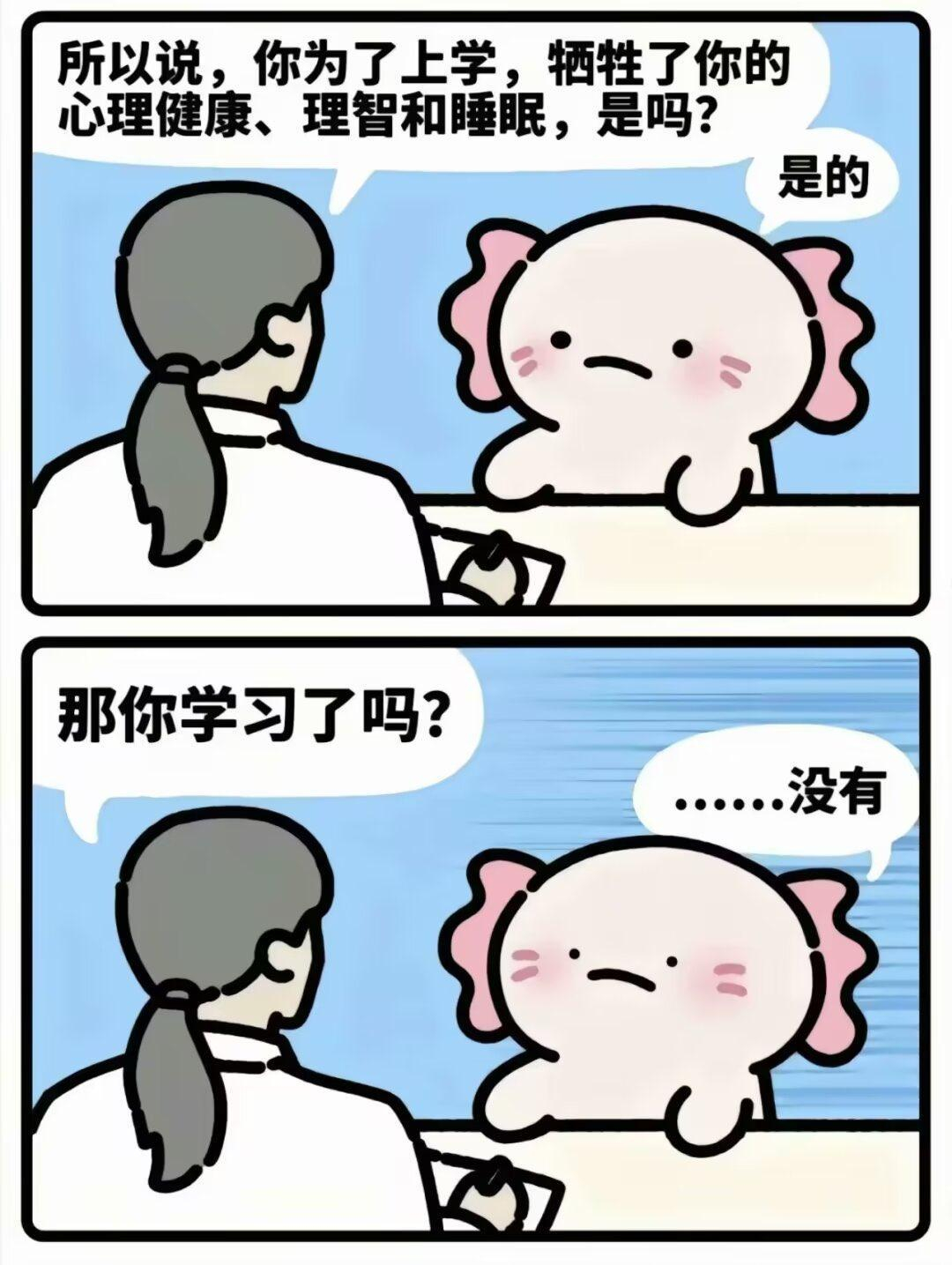 所以说，你为了上学，牺牲了你的心理健康、理智和睡眠，是吗?是的。那你学习了吗?.