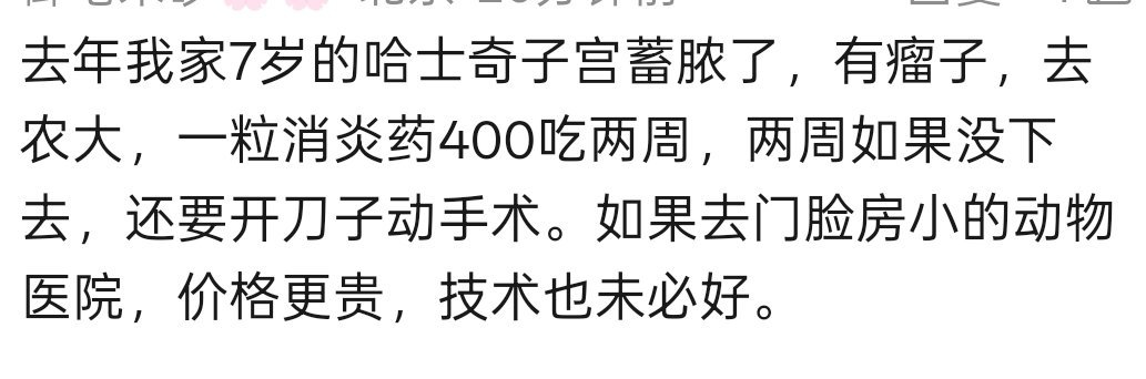 不理解但觉得是个机会看到有年轻人为宠物狗治病花了40万也有人评论给宠物狗治病也花