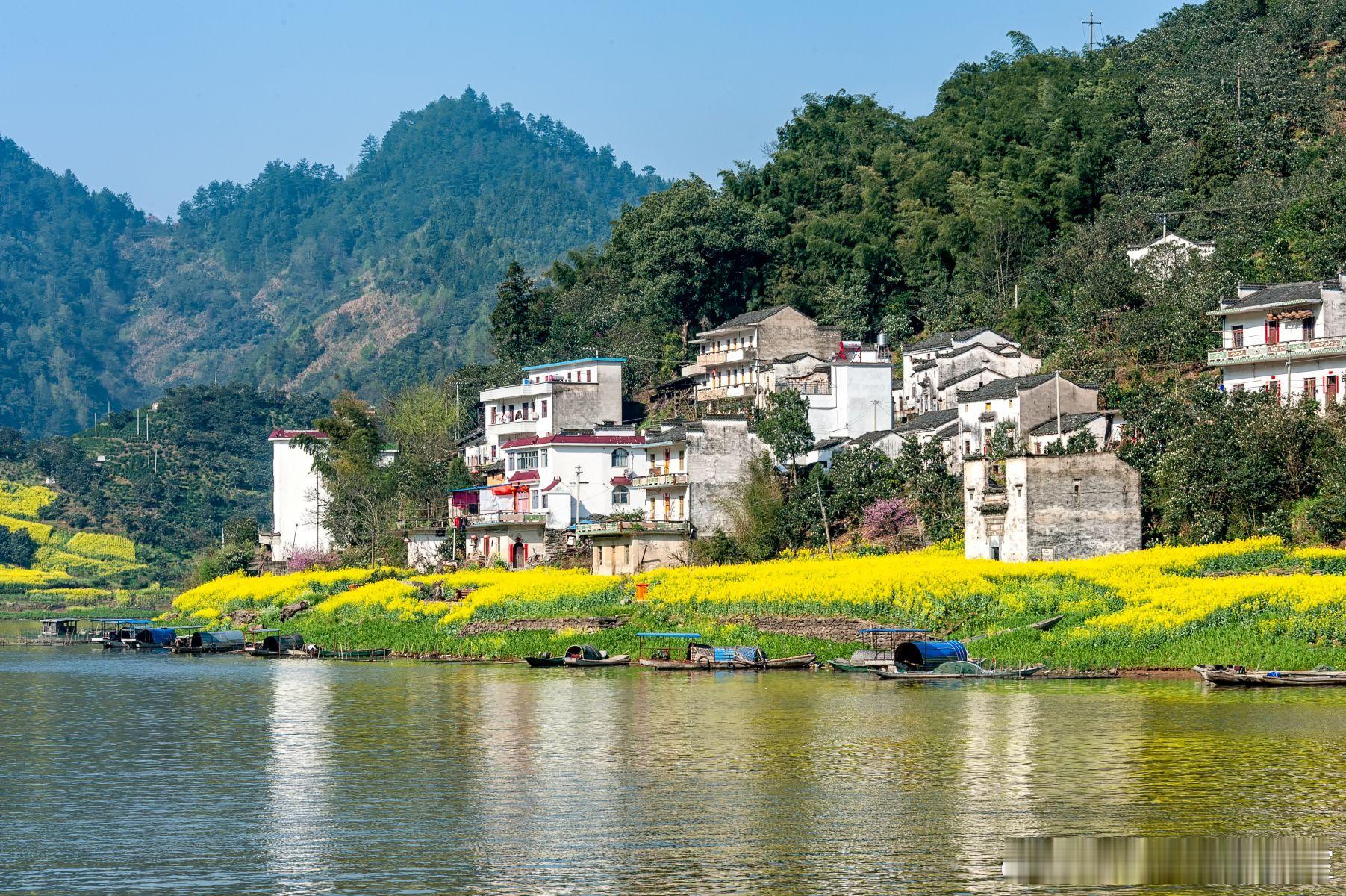 【股权激励的“时间锁链”】一张图看懂各个“期”的核心逻辑。核心观点：激励计划中“