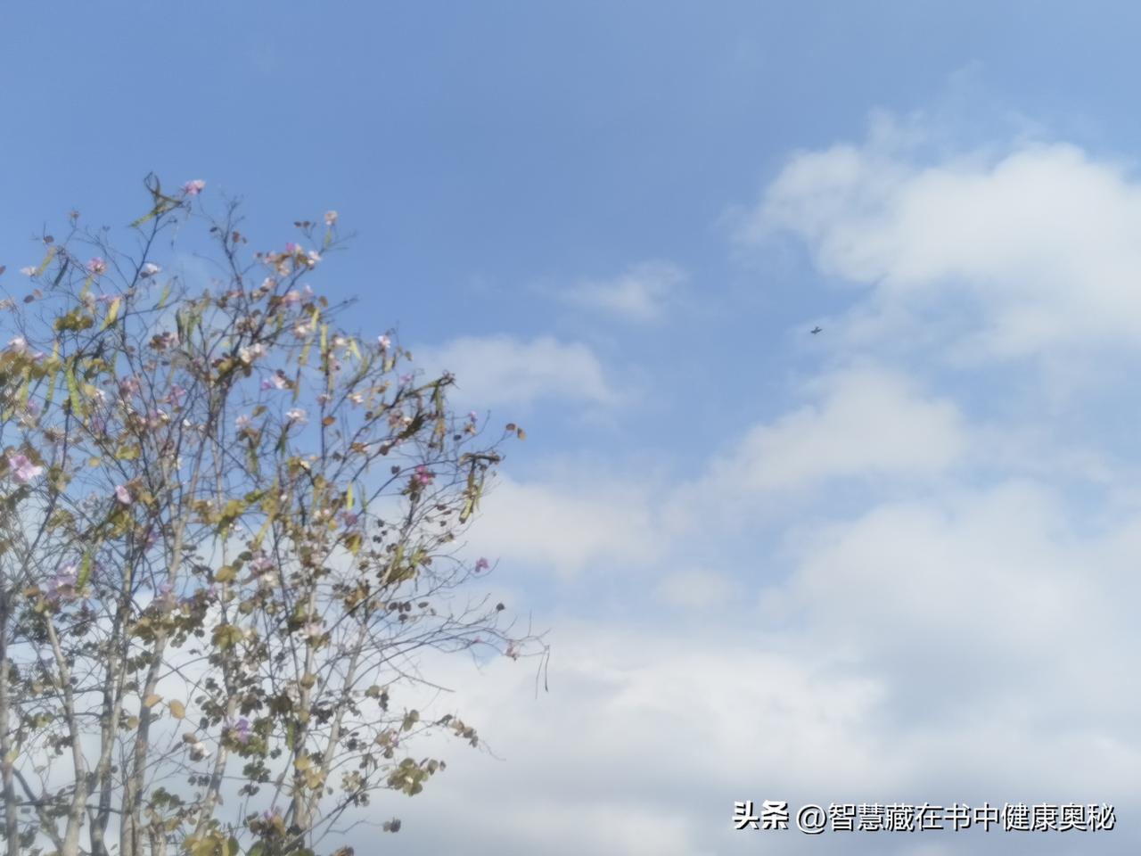 最好的养生是亲近自然，心旷神益，欣赏美好！