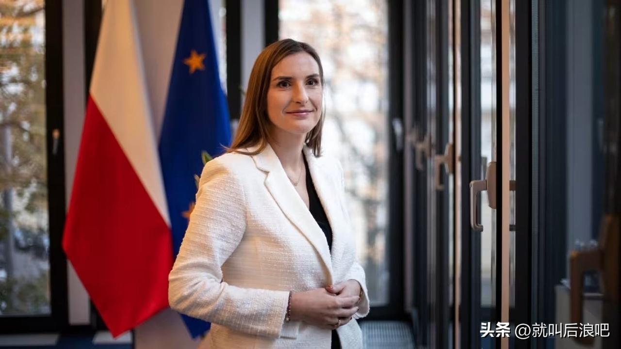 波兰政府负责欧盟安全行动事务的代表恰尔内茨卡表示，决定从欧盟提供的440亿欧元安