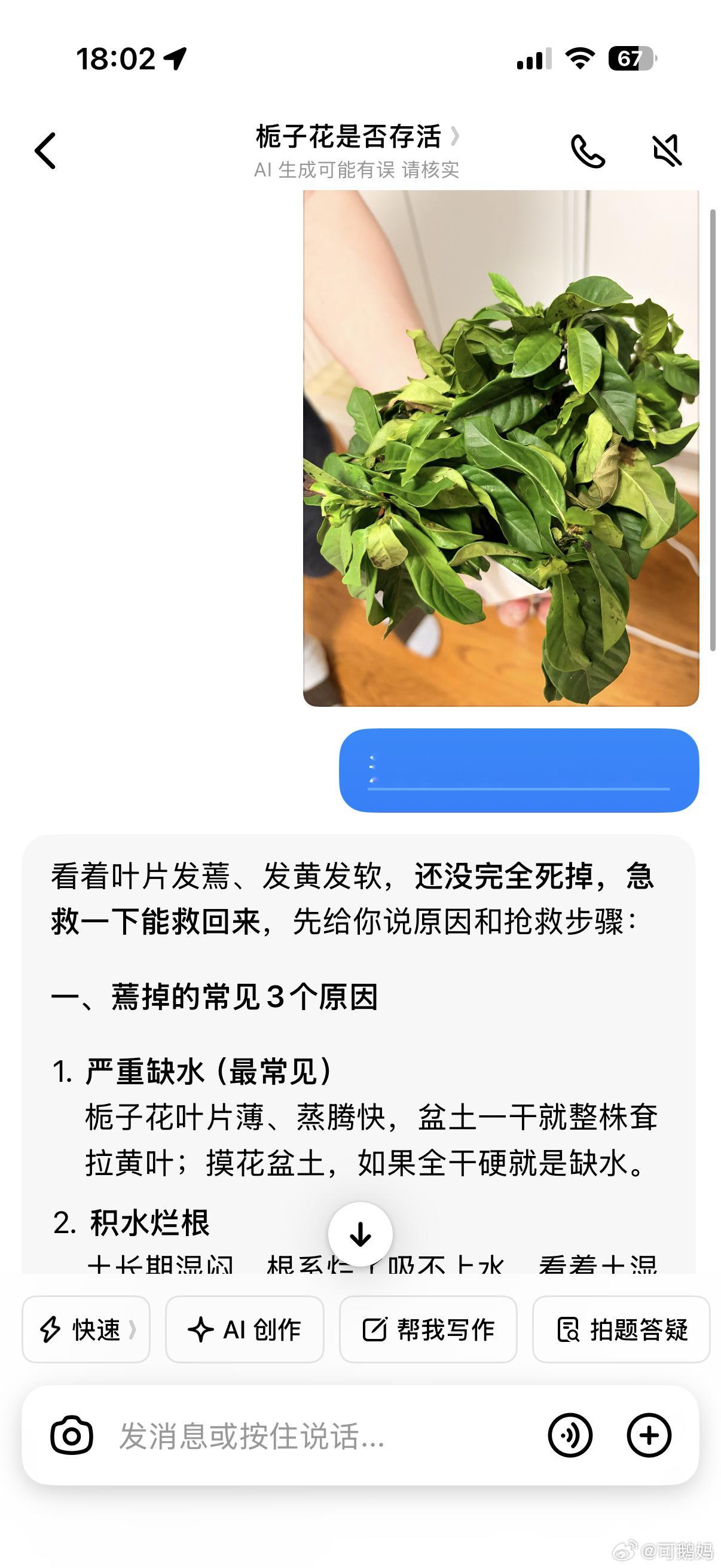 无所不能的AI，不知道能不能急救回来了 