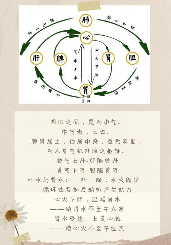 一定要懂身体的气机运转#中医来了#