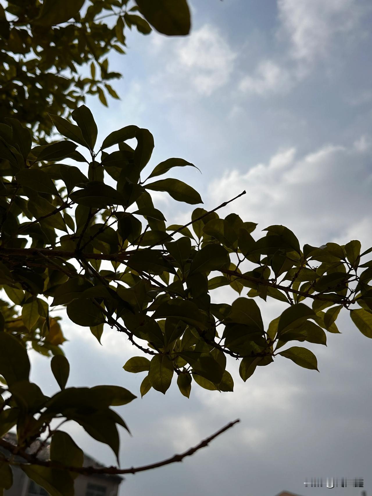 哟西，今天终于出太阳了🌞