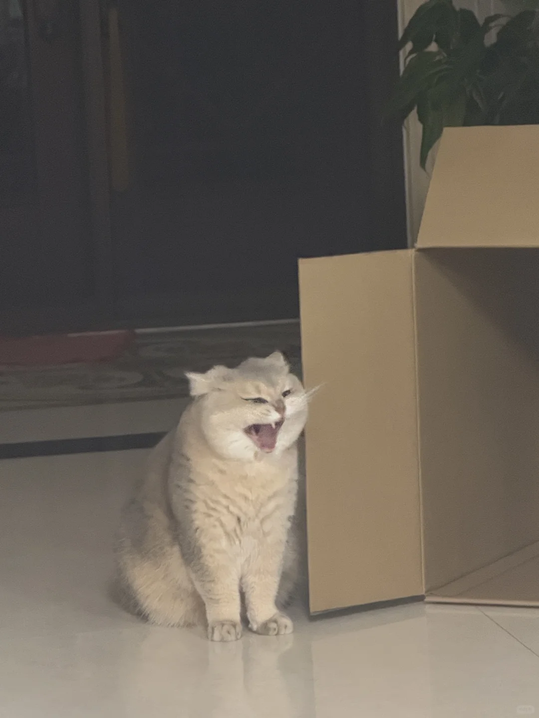嗨害嗨