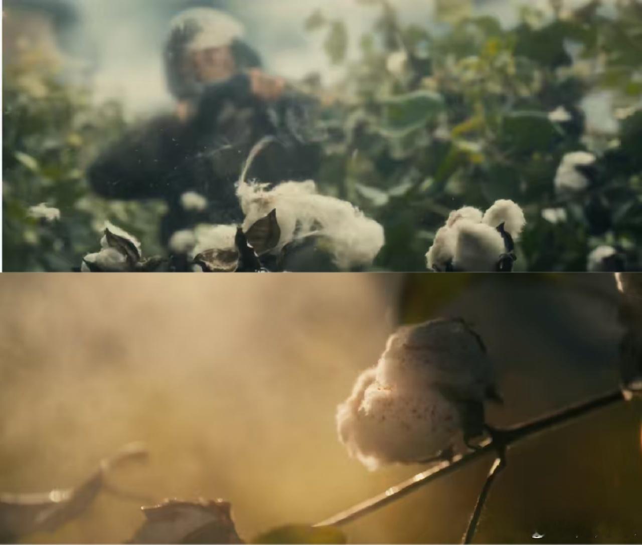 文娱智库对话八千里路云和月提问张永新导演：您曾执导《觉醒年代》，以思想性著称。抗